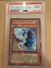 Light and Darkness Dragon