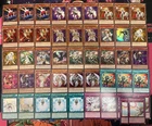 Dragon Shield