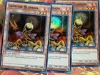 Lonefire Blossom