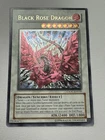 Black Rose Dragon