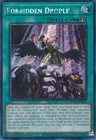Forbidden Lance