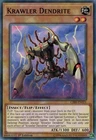 Cybernetic Cyclopean