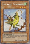 Mist Valley Thunderbird