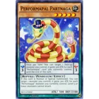Performapal Partnaga