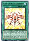 Rank-Up-Magic Raid Force