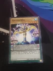 Magical Dimension