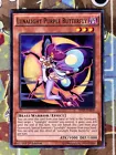 Lunalight Purple Butterfly