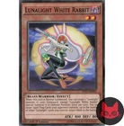 Lunalight White Rabbit