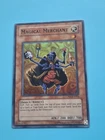 Defender, the Magical Knight