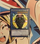 Magician of Black Chaos