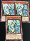 Maiden with Eyes of Blue