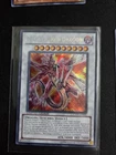 Blizzard Dragon