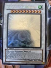Luster Dragon