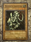 Mammoth Graveyard