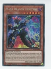 Hardened Armed Dragon