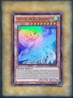 Mariamne, the True Dracophoenix