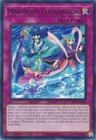 Marincess Circulation