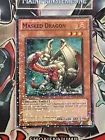 Masked Dragon