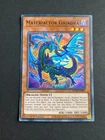Materiactor Gigadra