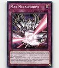 Max Metalmorph