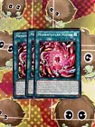 Mementotlan Fusion