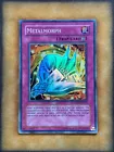 Metalmorph