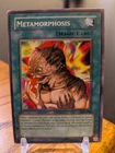 Metamorphosis
