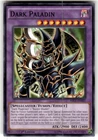 Dark Paladin