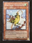 Mist Valley Thunderbird