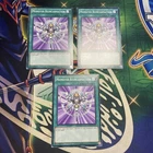 Monster Reincarnation