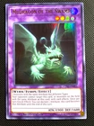 Mudragon of the Swamp