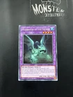Mudragon of the Swamp