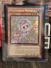 Mulcharmy Meowls
