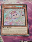 Mulcharmy Meowls