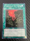 Eco, Mystical Spirit of the Forest