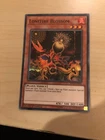 Swords of Concealing Light