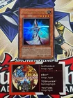 Mystic Swordsman LV4
