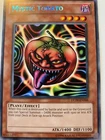 Mystic Tomato