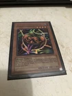 Mystic Tomato