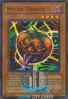 Mystic Tomato