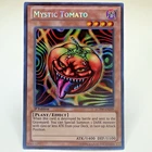 Mystic Tomato