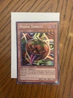 Mystic Tomato