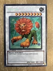 Worm Rakuyeh