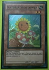 Naturia Sunflower