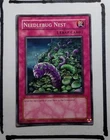 Needlebug Nest