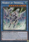 Fossil Warrior Skull Knight