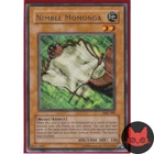 Nimble Momonga