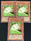 Nimble Momonga