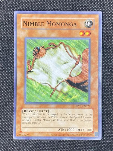 Nimble Momonga