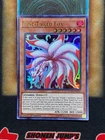Nine-Tailed Fox